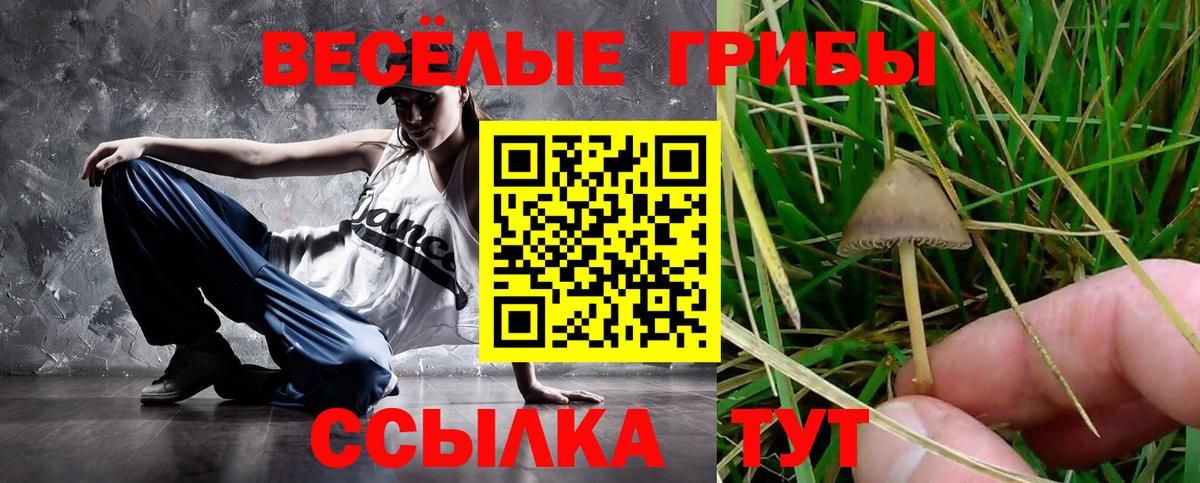 Галлюциногенные грибы мицелий Сарапул