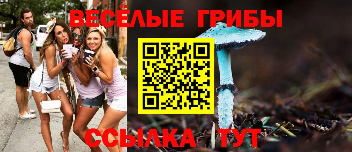 Галлюциногенные грибы прущие грибы  Галлюциногенные грибы мицелий  Сарапул  Вход с VPN 